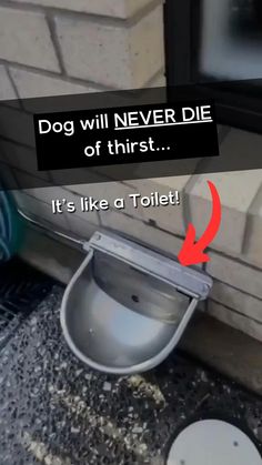 a toilet that is outside next to a brick wall with the caption dog will never die of thirst it's like a toilet