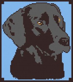 a cross stitch pattern of a dog's head in grey and brown colors with yellow eyes