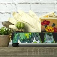 some potted plants are sitting on a shelf next to a box with flowers in it