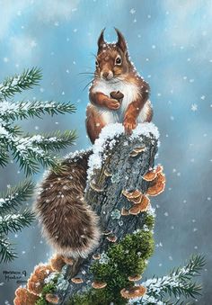 Squirrel on Snowy Branch Christmas Card Real Animals, Hunter Art, Squirrel Art, Hunting Art, Red Squirrel, Xmas Card, Mori Girl, Wildlife Art, Learn To Paint