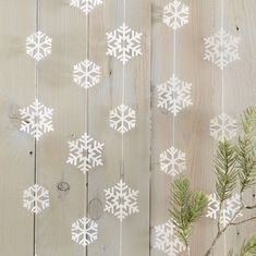 white snowflakes are hanging on a wooden wall next to pine cones and branches