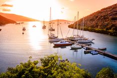 several boats are docked in the water at sunset