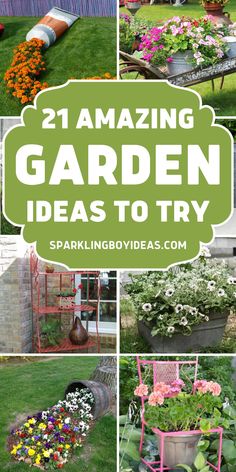 garden ideas to try out in the backyard with lots of flowers and plants on display