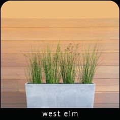 a planter with some grass in it and the words west elm written below it