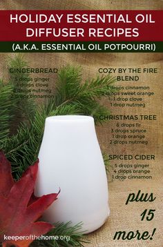 20 Holiday Essential Oil Diffuser Recipes That Will Fill Your Home with Cheer Essential Oil Diffuser Blends, Young Living Oils, Oil Diffuser Blends, Holiday Essentials