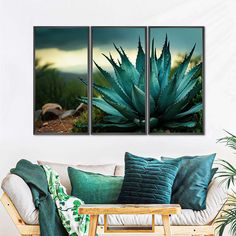 three green plants in the middle of a living room