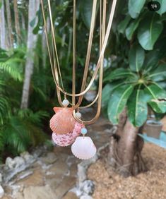 Gold chain necklace, adjustable length, great quality.  Scallop seashell attached to necklace with bead.  shell is pink/purple & white, and found on Sanibel Island, Florida. Scallop Shell Necklace, Bohemian Shell-shaped Pink Jewelry, Bohemian Pink Shell-shaped Jewelry, Pink Shell-shaped Beach Jewelry, Pink Shell Strand Jewelry, Shell-shaped Necklace With Adjustable Chain, Shell Necklaces With Adjustable Chain, Pink Shell Ocean-inspired Jewelry, Pink Bohemian Shell Jewelry