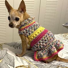 a small dog wearing a sweater on top of a bed