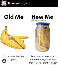 an image of old me and new me banana peels in water for 2 days then uses that water as plant fertiizer