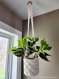 a potted plant hanging from the ceiling