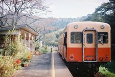 an orange and white train traveling down tracks next to a lush green forest covered hillside