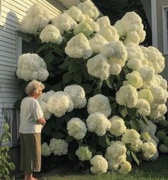 an older woman standing in front of a large white flowered bush next to a house