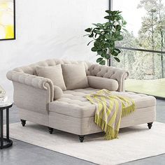 a living room scene with focus on the couch and chair, coffee table and potted plant