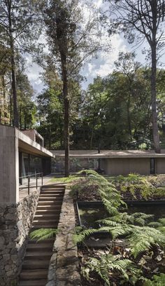 the house is surrounded by trees and plants, with stone steps leading up to it