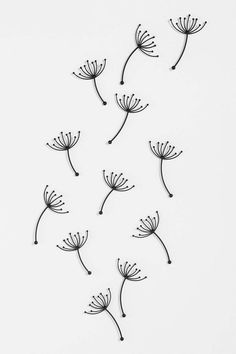 six metal dandelions on a white background