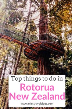 the top things to do in rotoria new zealand