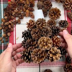 two hands are holding pine cones on a plaid tablecloth with other pine cones around them