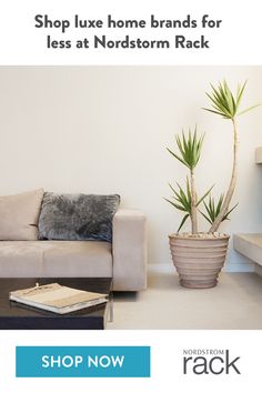 a living room filled with furniture and a potted plant on top of the couch