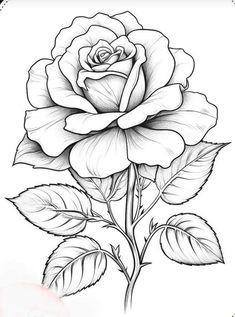 a black and white rose tattoo design