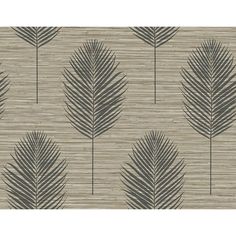 a wallpaper with palm leaves in grey and beige colors on a neutral background,