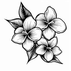 Plumeria Tattoo Design Pack Plumeria Tattoo Stencil, Plumeria Alba Tattoo, Hawaii Clip Art, Plumeria Flower Tattoos Black And White, Plumeria Flower Illustration, Stem Tattoo, Plumeria Design, Plumeria Tattoo, Doodle Art Flowers