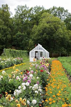 a garden filled with lots of flowers next to a small white house on top of a lush green field