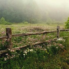 a wooden fence surrounded by wildflowers on a foggy day