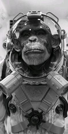 an image of a man in a space suit with a monkey on his face and helmet