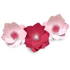 three paper flowers on a white background with red and pink petals in the center,