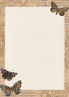 an old paper with butterflies on it