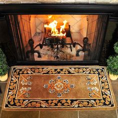 a fire place with a rug and potted plants on the floor next to it