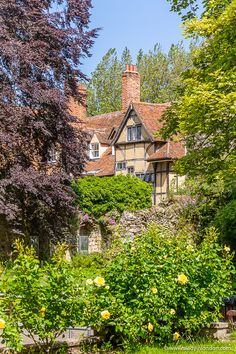 Canterbury Cathedral Garden Canterbury Aesthetic, Summer In England, Dover England, Uk Aesthetic, Day Trip From London, Cliffs Of Dover