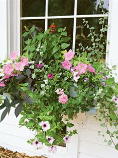 a window sill filled with lots of flowers next to a white wall and windowsill