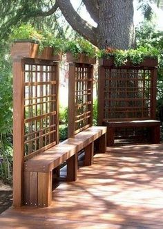 a wooden bench sitting on top of a hard wood floor next to a large tree