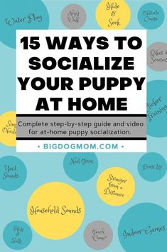 a blue and yellow polka dot background with the words 15 ways to socialize your puppy at home