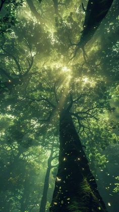 the sun shines through the canopy of a tree in a green forest filled with leaves