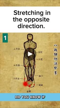 a video explaining how to stretch in the opposite direction with an image of a man's body