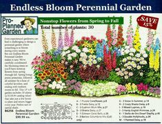 an advertisement for a flower garden with flowers in it