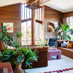 a living room filled with lots of furniture and plants on top of carpeted flooring