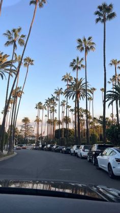 cars parked in a parking lot with palm trees lining the street and blue sky above