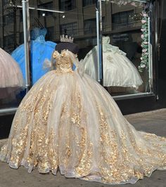 Quinceanera Themes Dresses, Sweet 16 Dress