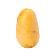 a potato is shown on a white background