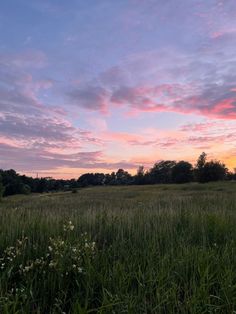 a field with tall grass and trees in the background