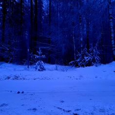 the snow covered ground in front of some trees and bushes is illuminated by blue lights