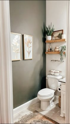 a white toilet sitting inside of a bathroom next to a wooden shelf filled with potted plants