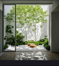 an open door leading to a garden with trees and bushes in it, as well as a bench on the floor