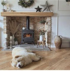 a dog laying on the floor in front of a fireplace