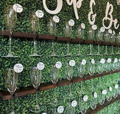 many wine glasses are lined up on a wall with the words oppo's