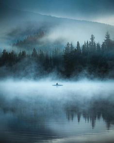 a boat floating on top of a lake surrounded by fog and trees in the distance