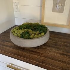 a bowl filled with green moss sitting on top of a counter next to a framed photograph